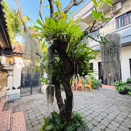 Mama Mega Homestay